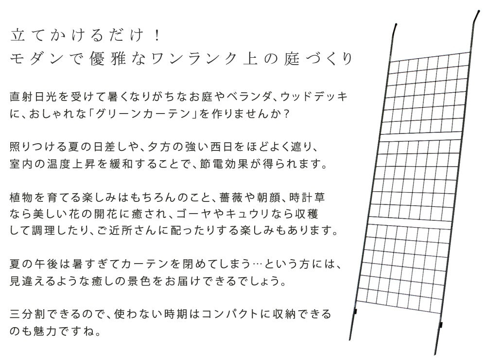 ナチュラルな日差し除け グリーンカーテン 幅80cm 高さ245.5cm