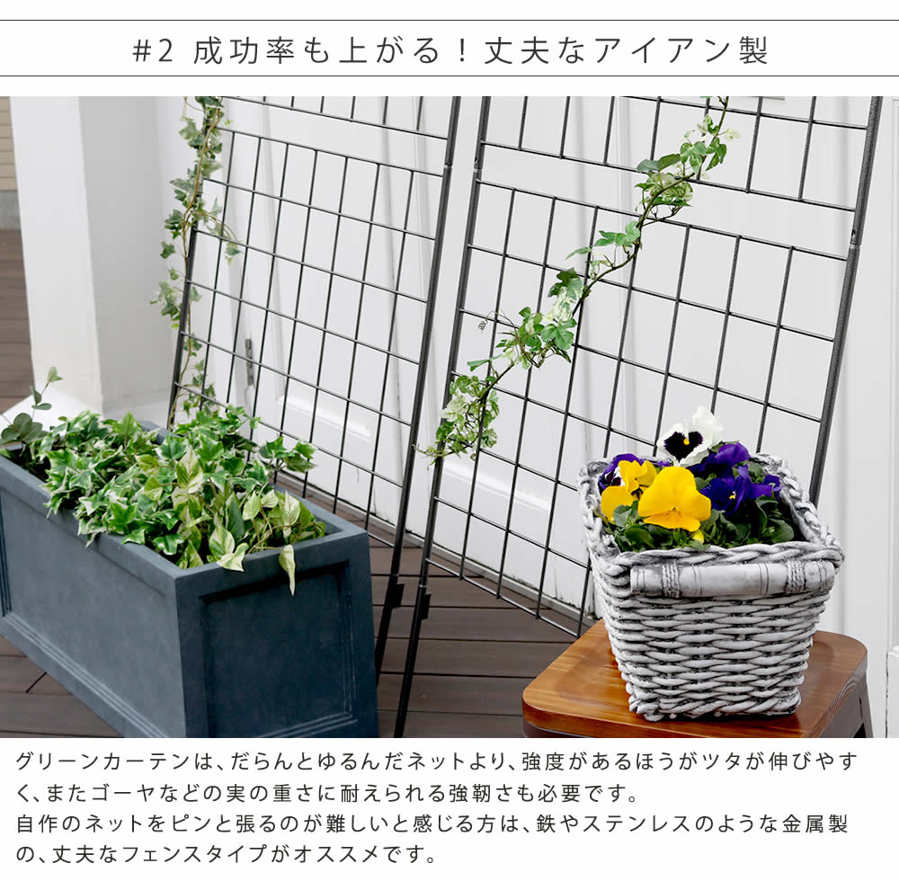 ナチュラルな日差し除け グリーンカーテン 幅80cm 高さ245.5cm