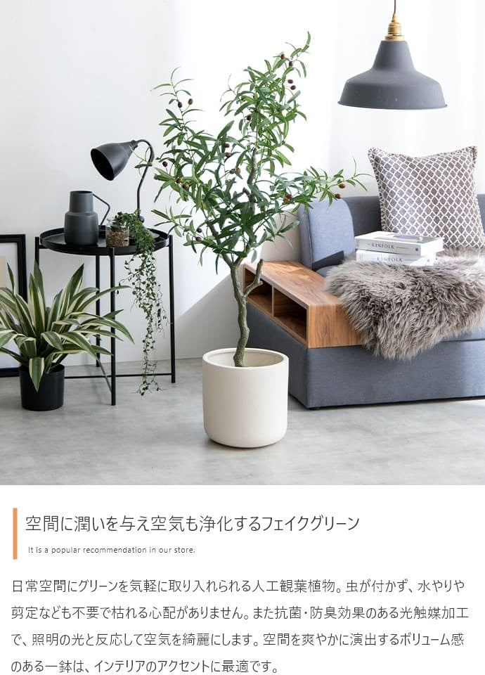 観葉植物 フェイクグリーン 光触媒 高さ125cmタイプ