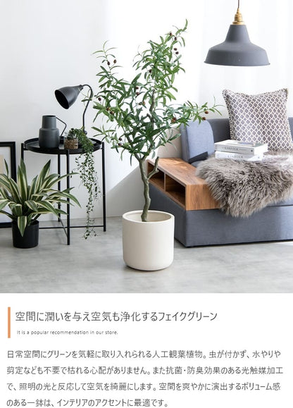 観葉植物 フェイクグリーン 光触媒 高さ125cmタイプ
