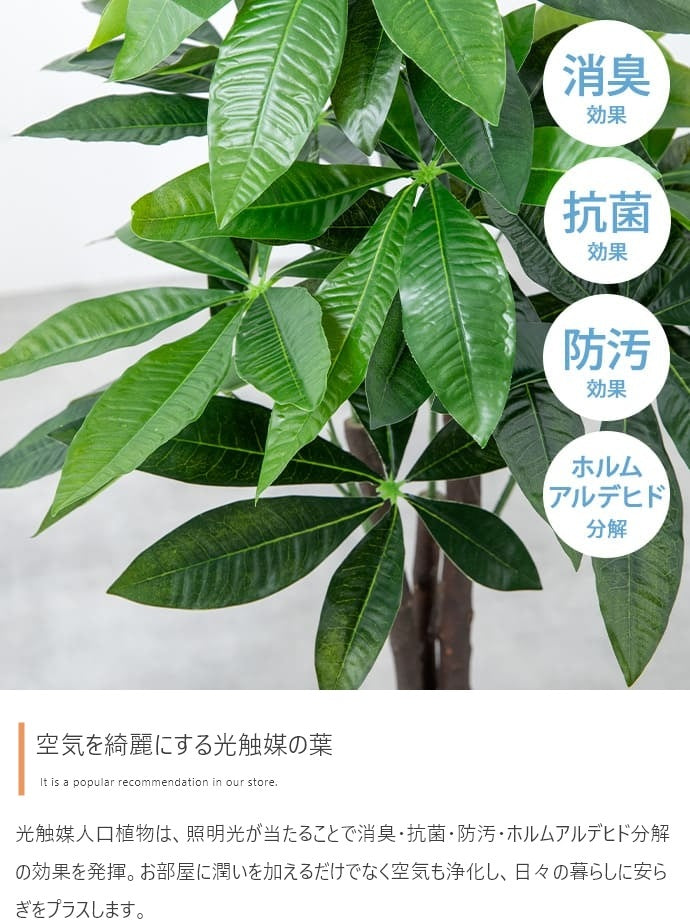 観葉植物 フェイクグリーン 光触媒 高さ125cmタイプ