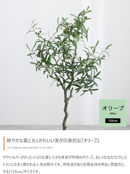 観葉植物 フェイクグリーン 光触媒 高さ125cmタイプ
