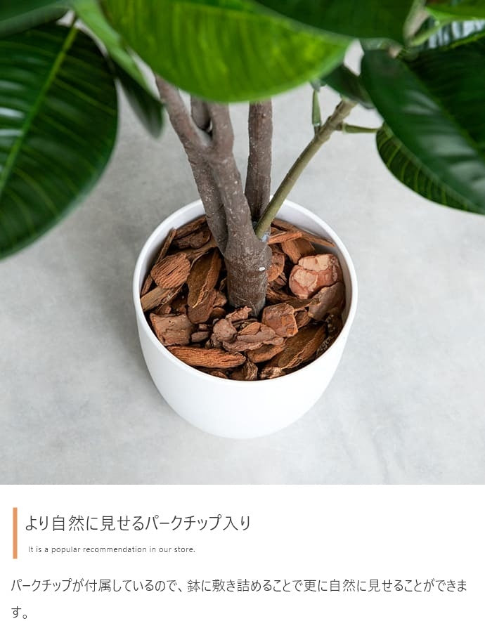 観葉植物 フェイクグリーン 光触媒 高さ125cmタイプ