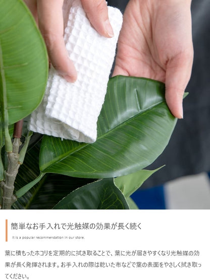 観葉植物 フェイクグリーン 光触媒 高さ125cmタイプ