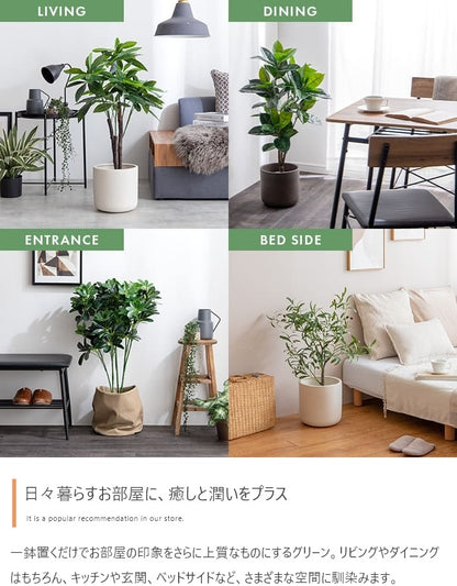 観葉植物 フェイクグリーン 光触媒 高さ125cmタイプ