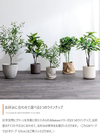 観葉植物 フェイクグリーン 光触媒 高さ125cmタイプ