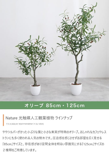 観葉植物 フェイクグリーン 光触媒 高さ125cmタイプ