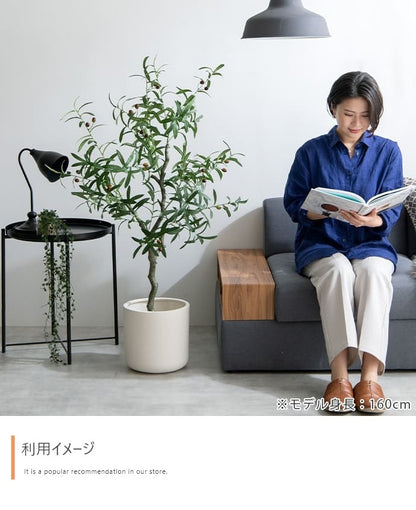 観葉植物 フェイクグリーン 光触媒 高さ125cmタイプ