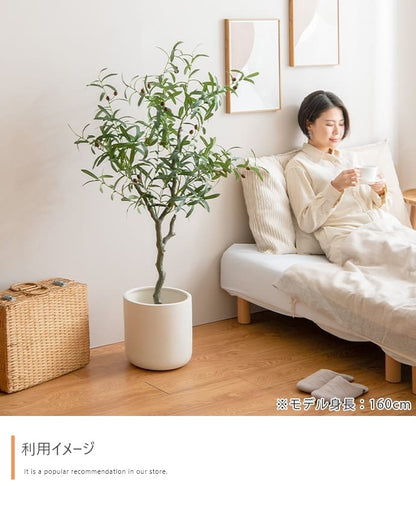 観葉植物 フェイクグリーン 光触媒 高さ125cmタイプ