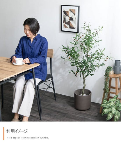 観葉植物 フェイクグリーン 光触媒 高さ125cmタイプ