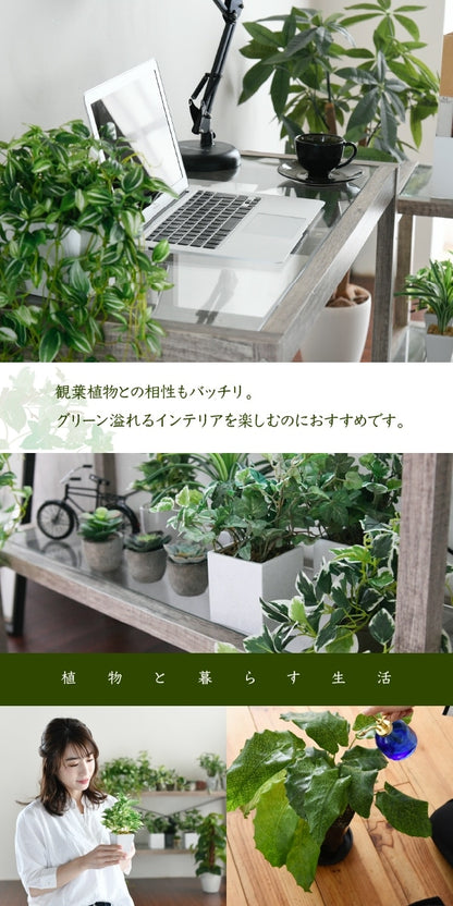 ガラスPCデスク 幅90cm 奥行45cm グリーンインテリア デスク 古材 古木 インテリア