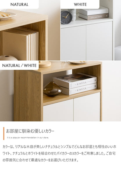 キャビネット 幅55cm シンプルモダン 扉付き収納 ノイズレス