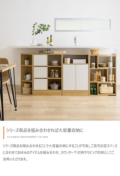 キャビネット 幅55cm シンプルモダン 扉付き収納 ノイズレス