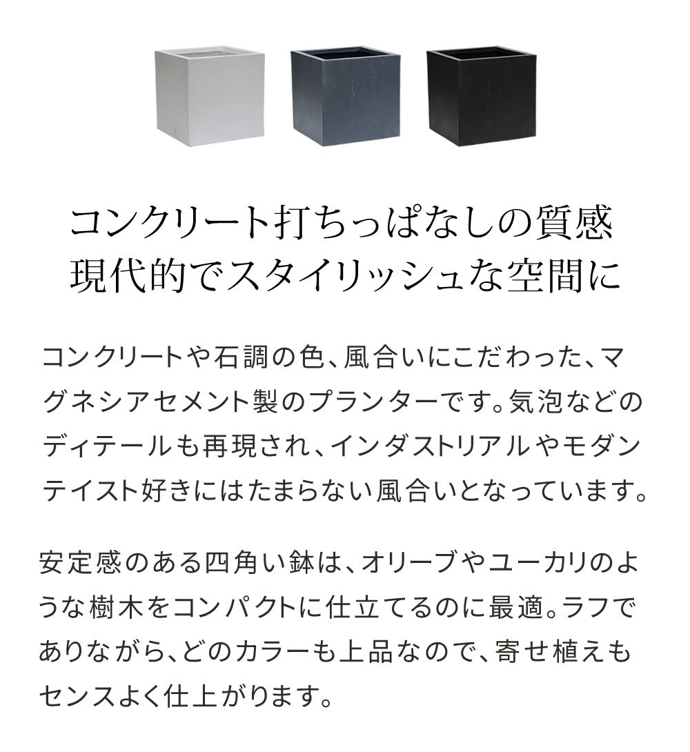 プランター 打ちっぱなしコンクリート質感 36x36cm スタイリッシュ モダン