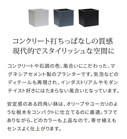 プランター 打ちっぱなしコンクリート質感 36x36cm スタイリッシュ モダン