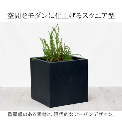 プランター 打ちっぱなしコンクリート質感 36x36cm スタイリッシュ モダン