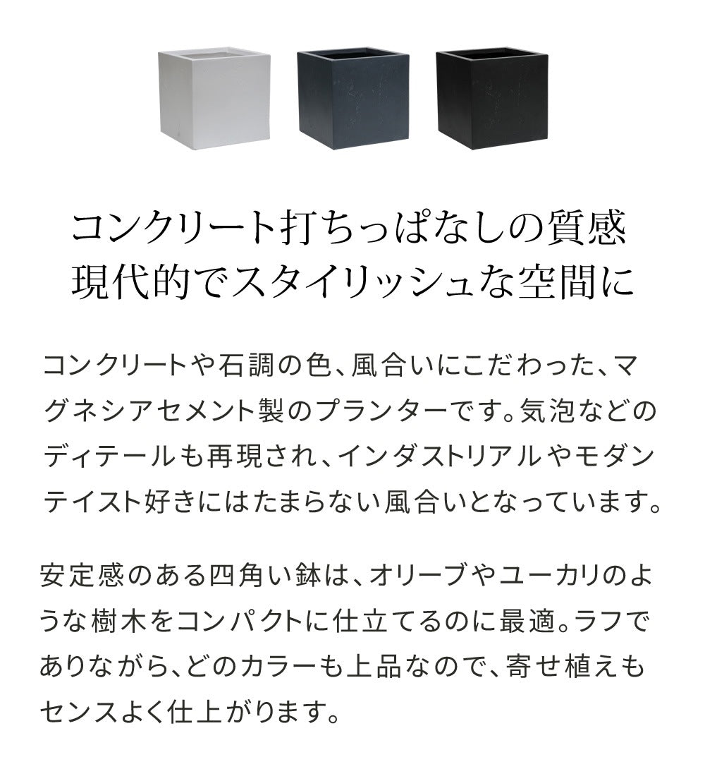 プランター 打ちっぱなしコンクリート質感 40x40cm スタイリッシュ モダン