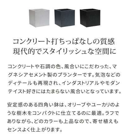 プランター 打ちっぱなしコンクリート質感 40x40cm スタイリッシュ モダン