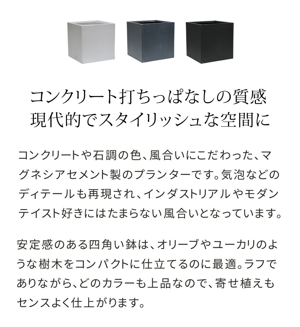 プランター 打ちっぱなしコンクリート質感 50x50cm スタイリッシュ モダン