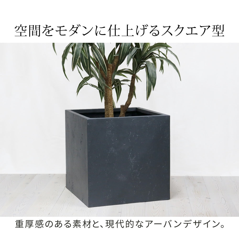 プランター 打ちっぱなしコンクリート質感 50x50cm スタイリッシュ モダン