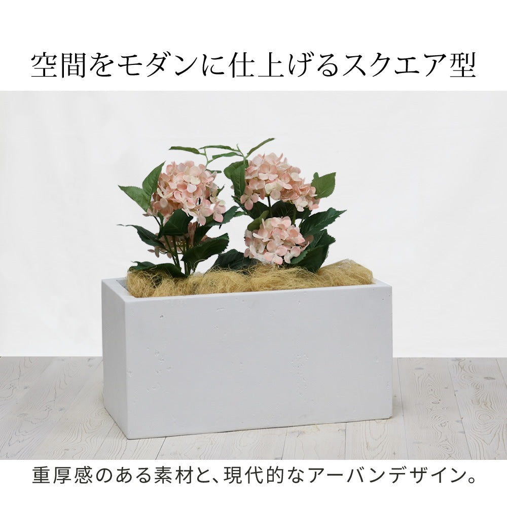 プランター 打ちっぱなしコンクリート質感 60x30cm スタイリッシュ モダン