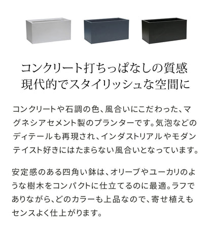 プランター 打ちっぱなしコンクリート質感 80x39cm スタイリッシュ モダン