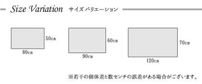 大きめ 玄関マット 高密度 トルコ製 70x120cm 抗菌防臭 ウィルトン織