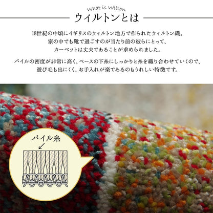 玄関マット 60x90cm 高密度ウィルトン織 カラフル 抗菌防臭