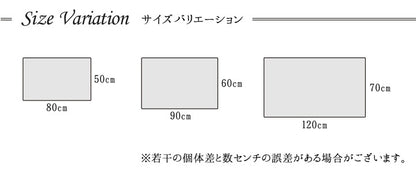 玄関マット 60x90cm 高密度ウィルトン織 カラフル 抗菌防臭