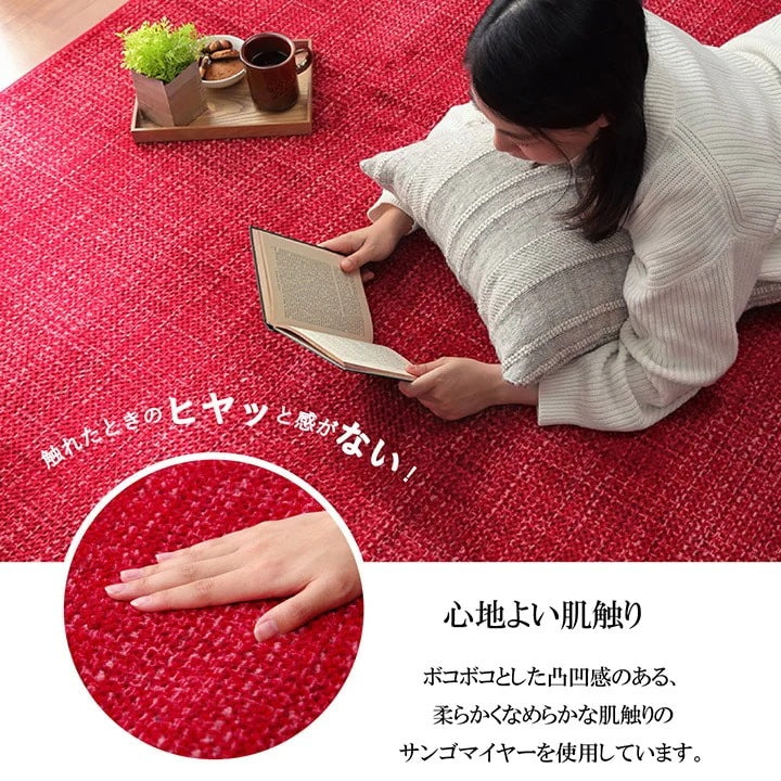ラグ 絨毯 200x250cm シンプル 無地 かため 不織布 オールシーズン 滑り止め