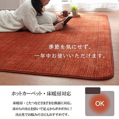 ラグ 絨毯 200x250cm シンプル 無地 かため 不織布 オールシーズン 滑り止め