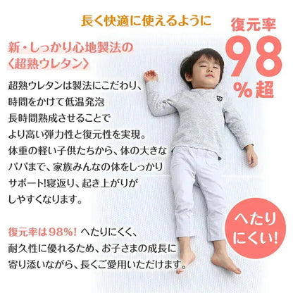 ファミリーマットレス 極厚 敷布団 ワイドキング300サイズ（シングルx3） 厚さ12cmタイプ 分割可能 大型マット