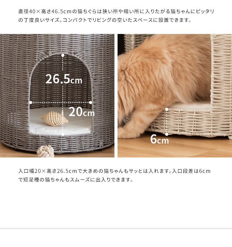 猫が入れる サイドテーブル 猫ちぐら ガラス天板 ラタン 通気性