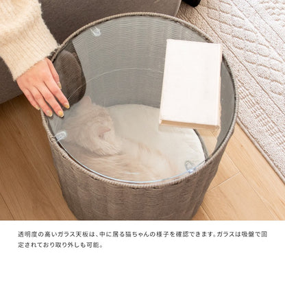 猫が入れる サイドテーブル 猫ちぐら ガラス天板 ラタン 通気性
