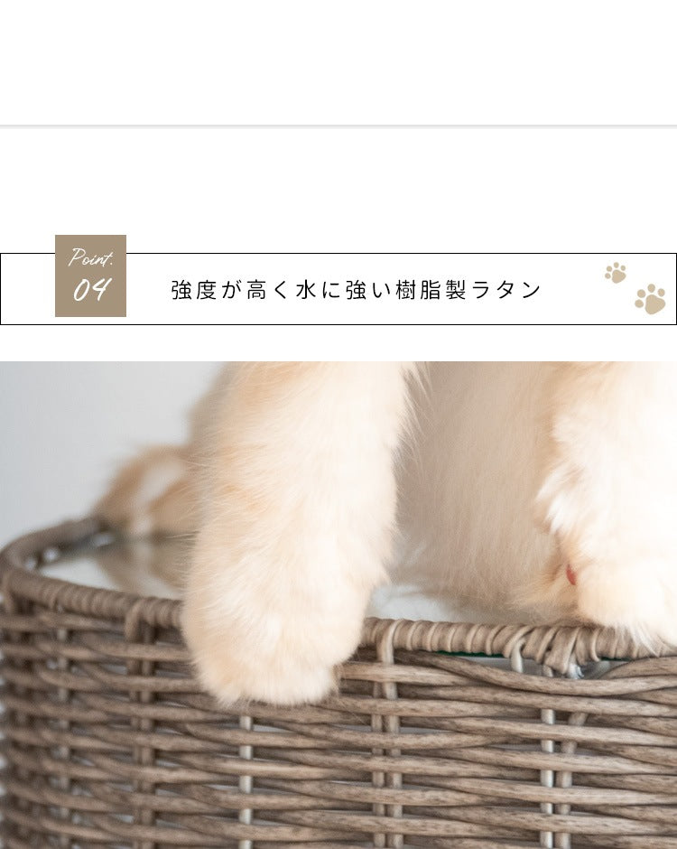 猫が入れる サイドテーブル 猫ちぐら ガラス天板 ラタン 通気性