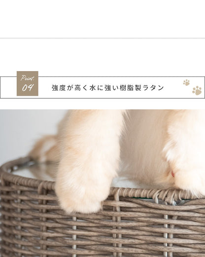 猫が入れる サイドテーブル 猫ちぐら ガラス天板 ラタン 通気性