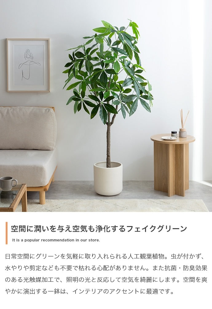 大型サイズ 観葉植物 フェイクグリーン 光触媒 パキラ 高さ150cm
