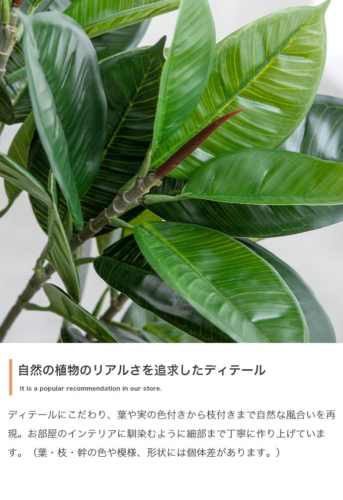 大型サイズ 観葉植物 フェイクグリーン 光触媒 パキラ 高さ150cm