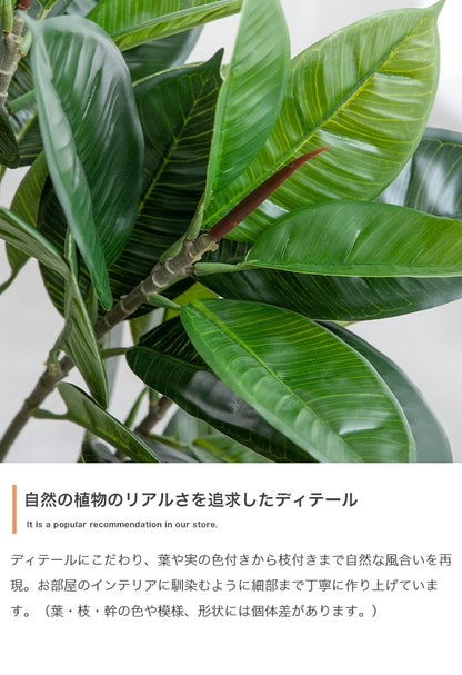 大型サイズ 観葉植物 フェイクグリーン 光触媒 パキラ 高さ150cm