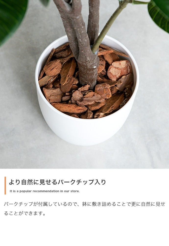 大型サイズ 観葉植物 フェイクグリーン 光触媒 パキラ 高さ150cm