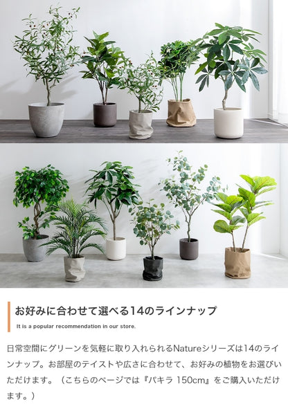 大型サイズ 観葉植物 フェイクグリーン 光触媒 パキラ 高さ150cm
