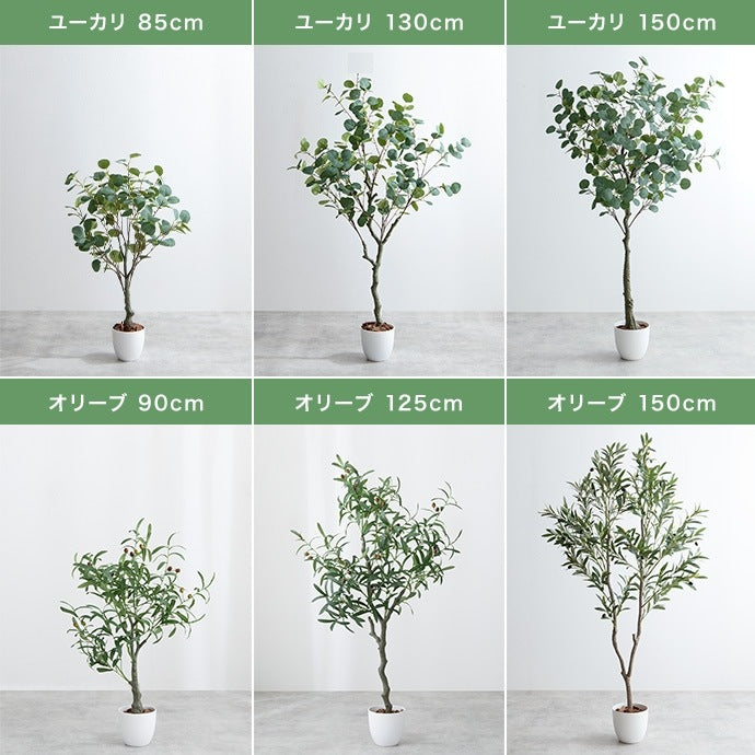 大型サイズ 観葉植物 フェイクグリーン 光触媒 パキラ 高さ150cm