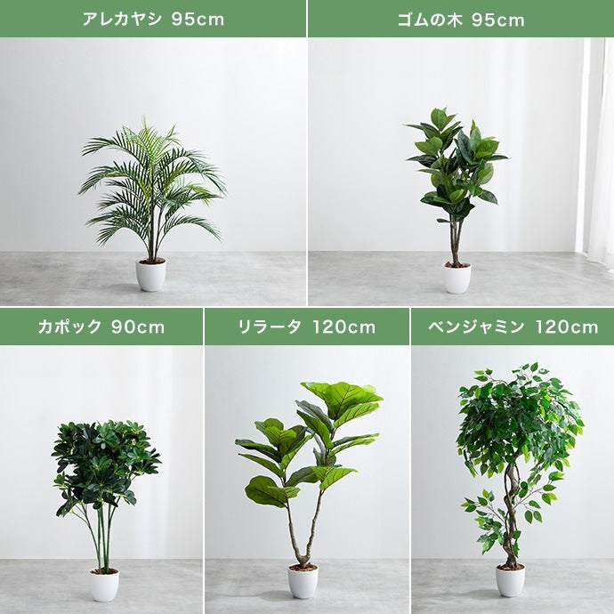 大型サイズ 観葉植物 フェイクグリーン 光触媒 パキラ 高さ150cm