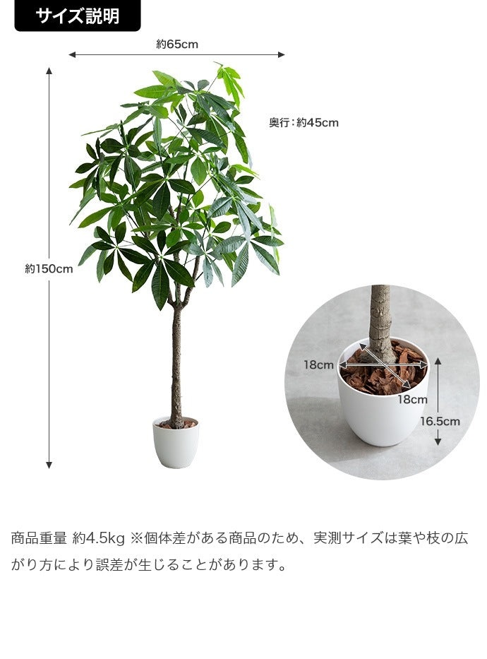 大型サイズ 観葉植物 フェイクグリーン 光触媒 パキラ 高さ150cm