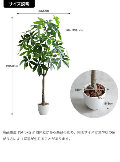 大型サイズ 観葉植物 フェイクグリーン 光触媒 パキラ 高さ150cm