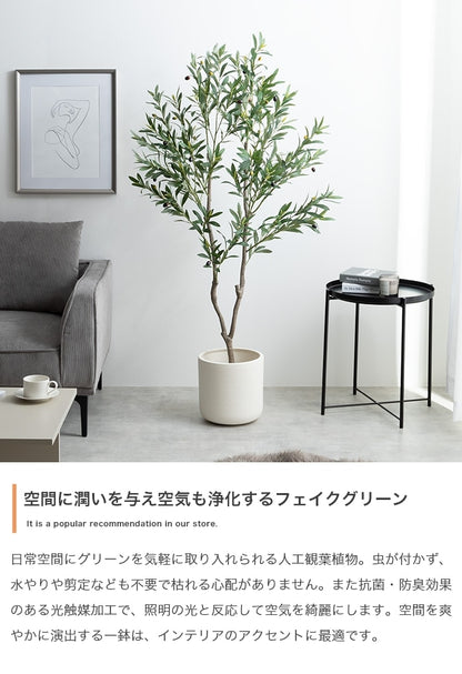 大型サイズ 観葉植物 フェイクグリーン 光触媒 高さ150cmタイプ