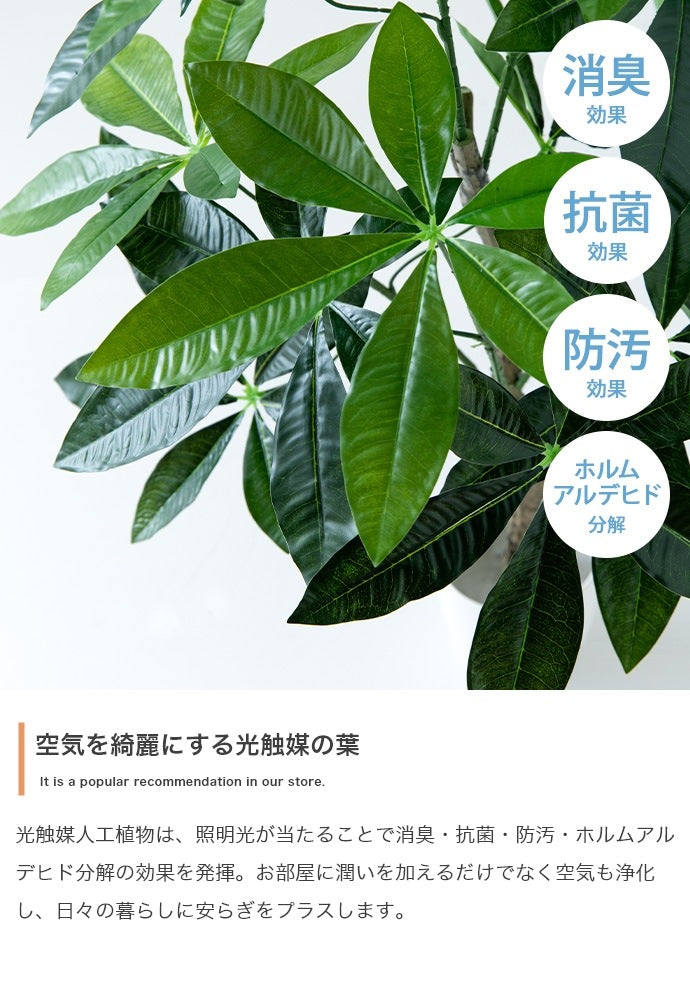 大型サイズ 観葉植物 フェイクグリーン 光触媒 高さ150cmタイプ