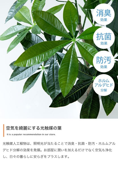 大型サイズ 観葉植物 フェイクグリーン 光触媒 高さ150cmタイプ
