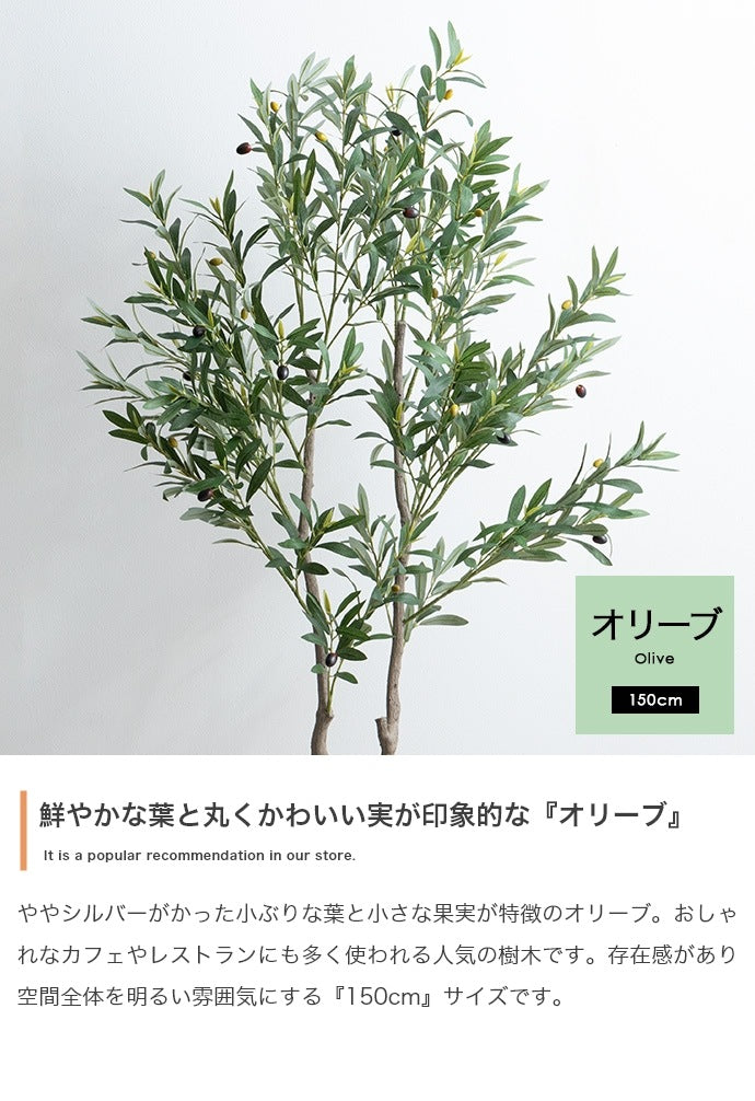 大型サイズ 観葉植物 フェイクグリーン 光触媒 高さ150cmタイプ