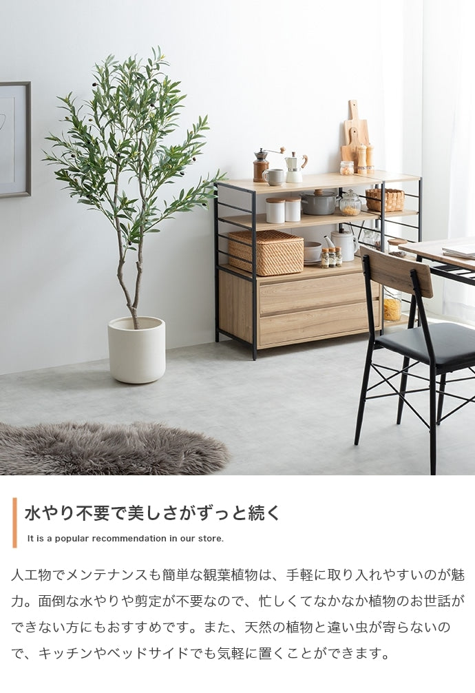 大型サイズ 観葉植物 フェイクグリーン 光触媒 高さ150cmタイプ